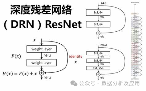 超强！深度学习Top10算法！(图4)