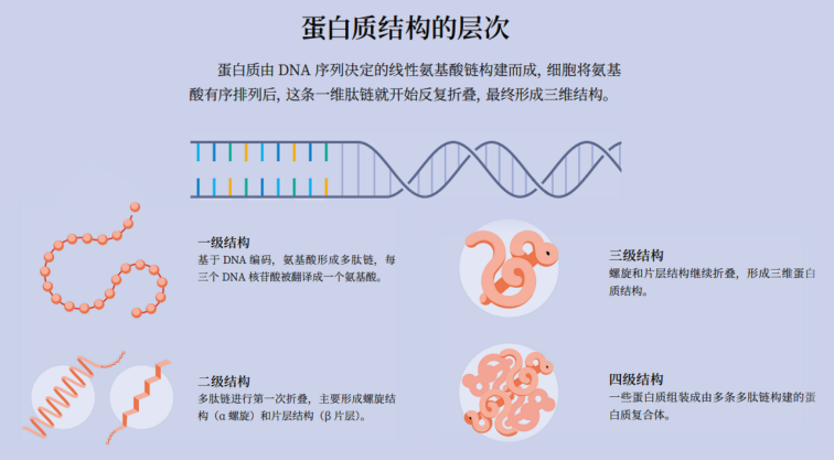 九游体育科技：从诺贝尔化学奖看AI与游戏的无限可能